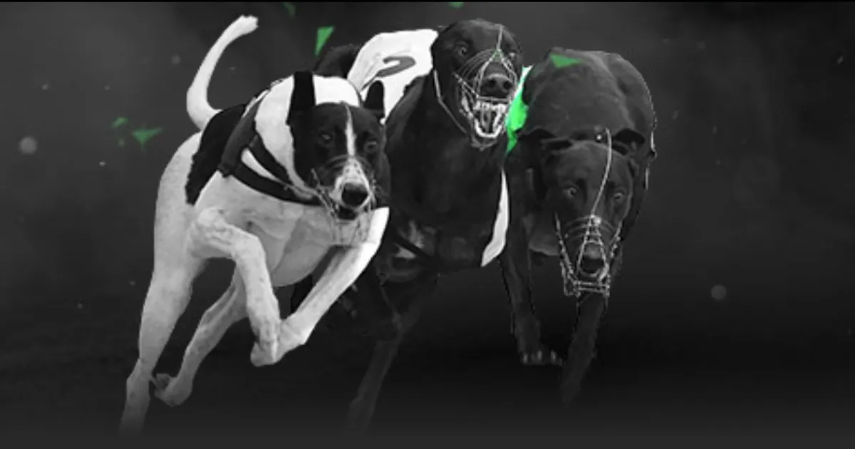 国足,不敌澳大利,王大雷表现,金年会,JinNianHui,金年会官网,金年会体育官网,金年会体育下载,金年会APP