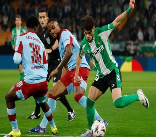 多纳鲁马荣,膺欧洲杯最,佳球员称号,金年会,JinNianHui,金年会官网,金年会体育官网,金年会体育下载,金年会APP