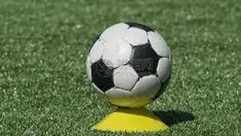 郑钦文晋级WTA1000迈阿密站女单决赛